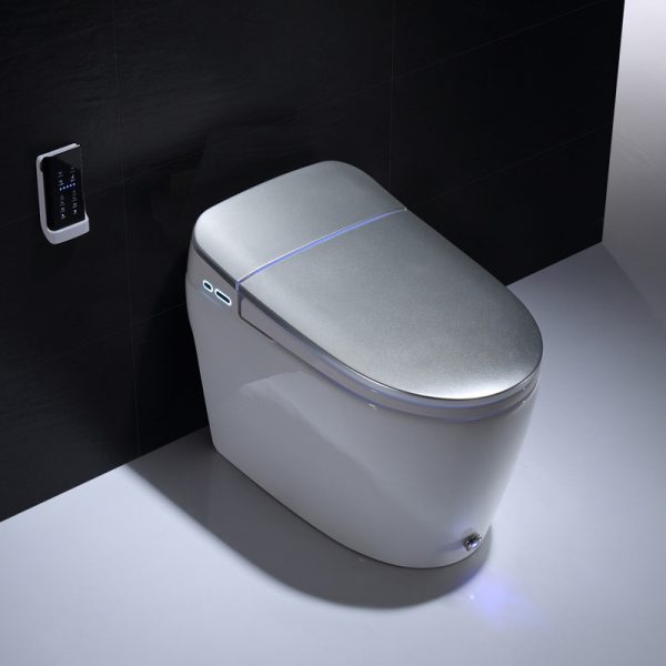 smart toilet 21 (1)