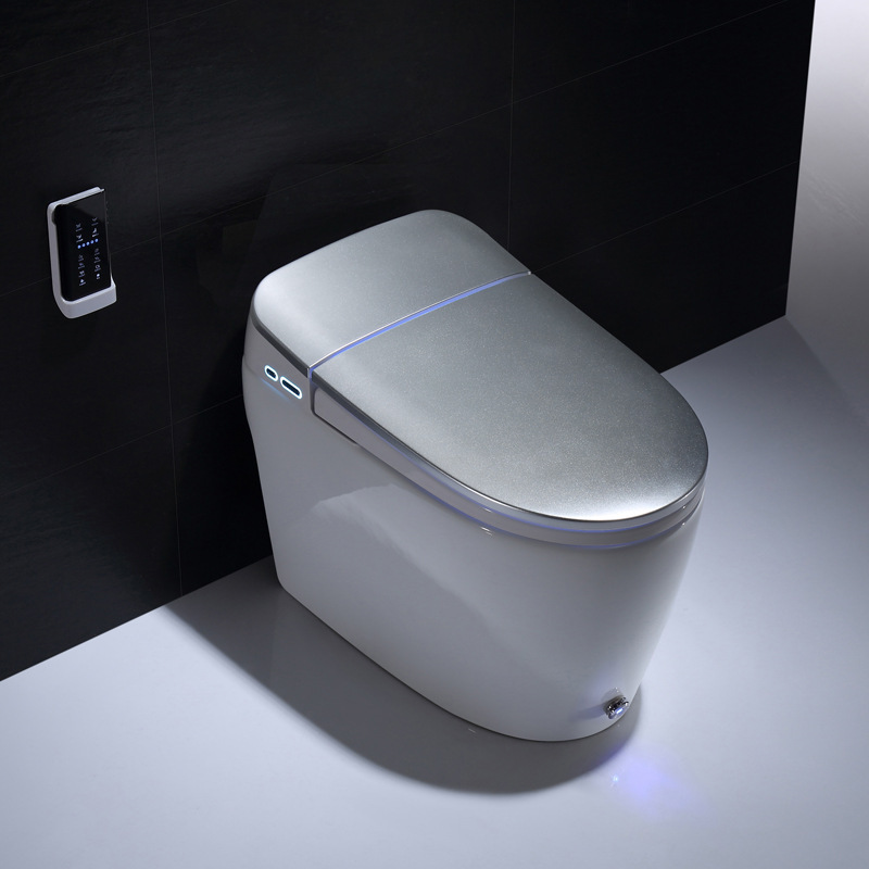 smart toilet 21 (1)
