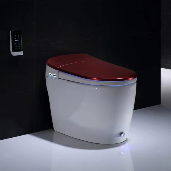 smart toilet 21 (6)