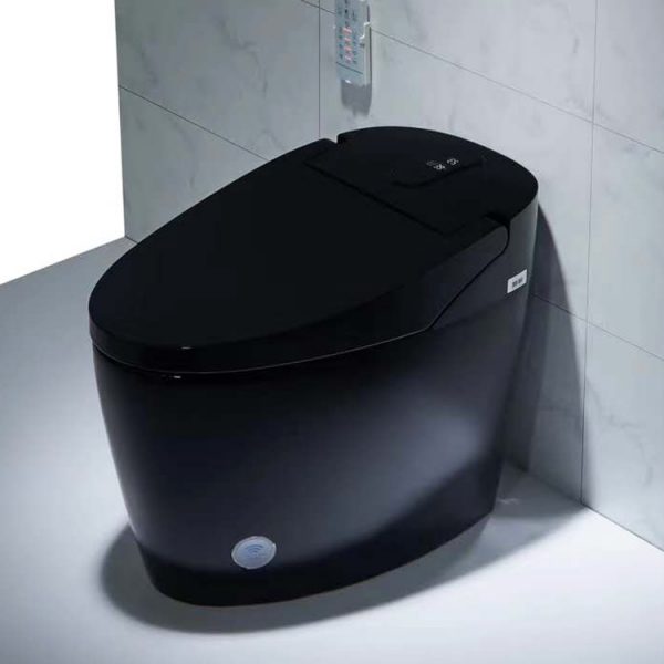 smart toilet 23 (2)