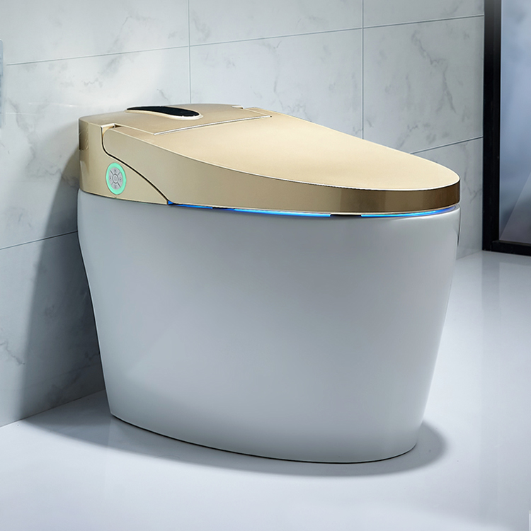 smart toilet 23 (6)