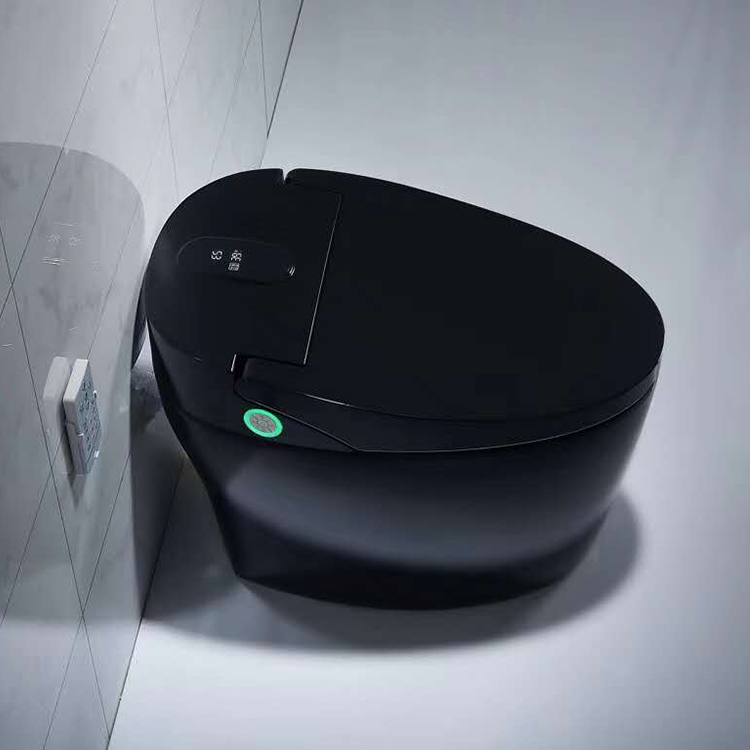 smart toilet 23 (7)