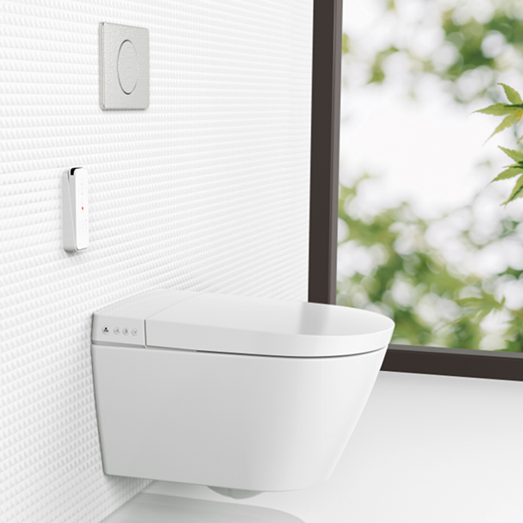 HEGII luxury european wall mounted concealed tank toilet toilet manufacturers