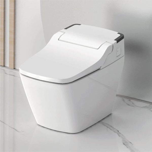 Auto Dual Flush One Piece Toilet (6)