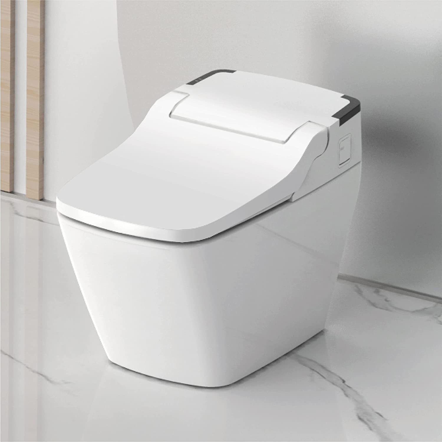 Auto Dual Flush One Piece Toilet (6)